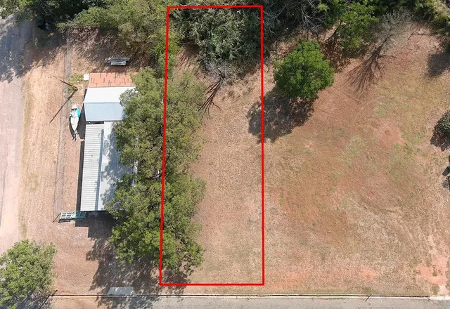 a plant that is in front of a house