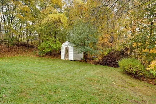 a view of a backyard with large trees