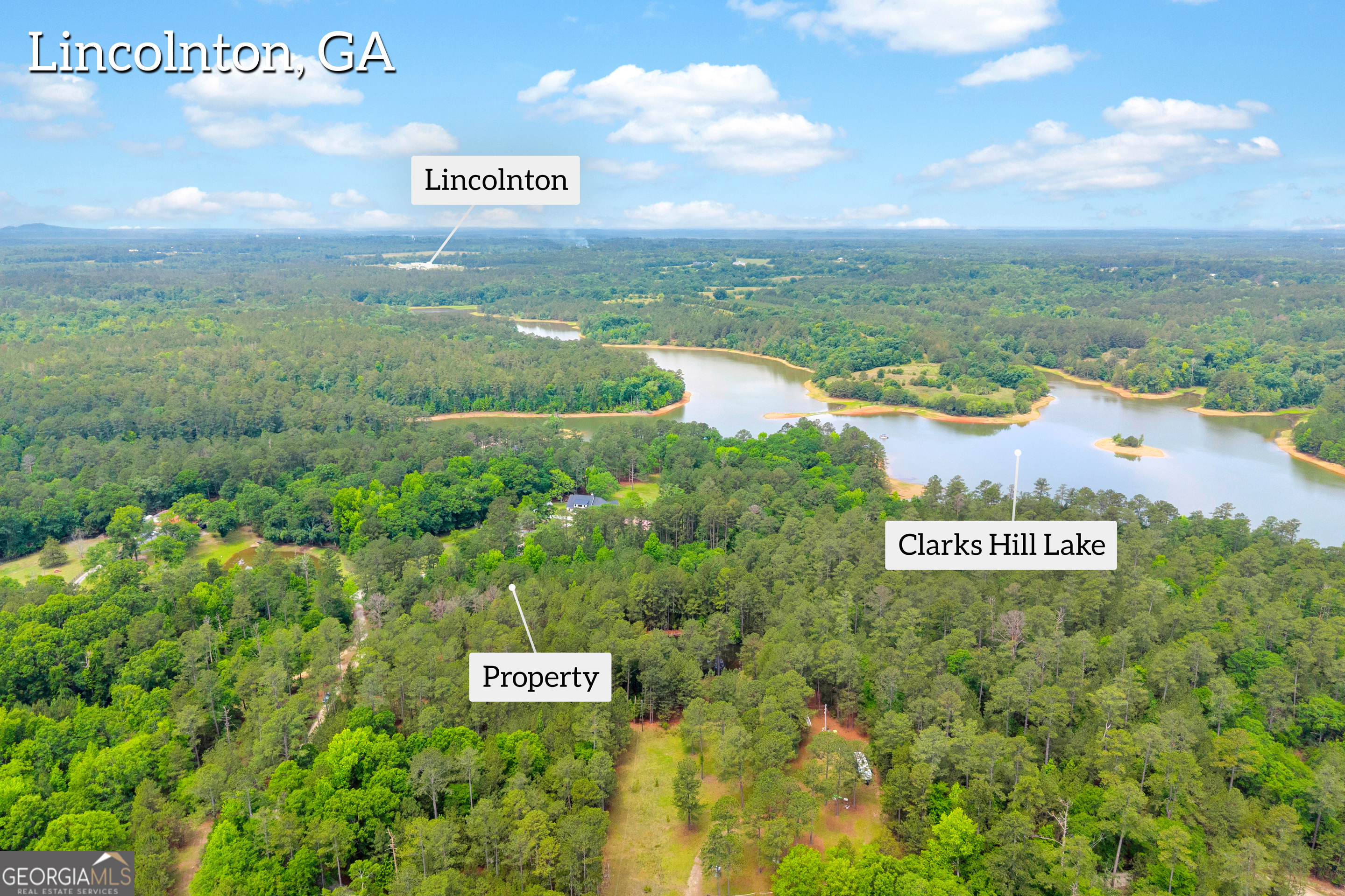 0 Clary Road Lincolnton, GA 30817 - Photo 6 of 16