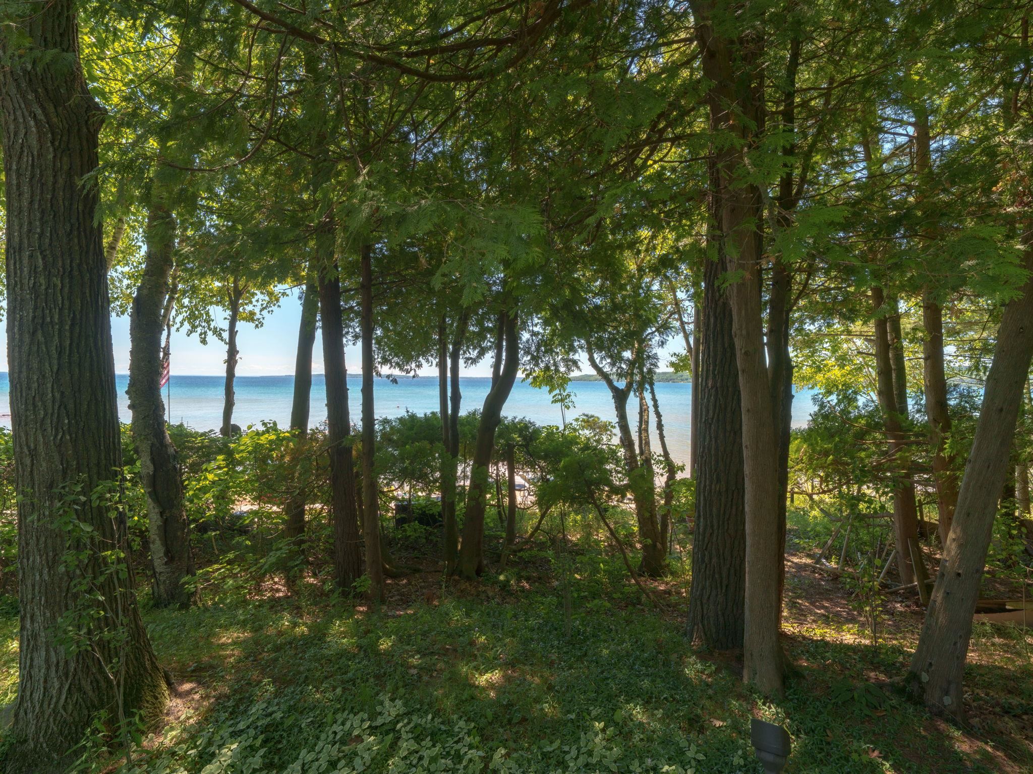 4152 North Omena Point Road Omena, MI 49674 - Photo 36 of 50