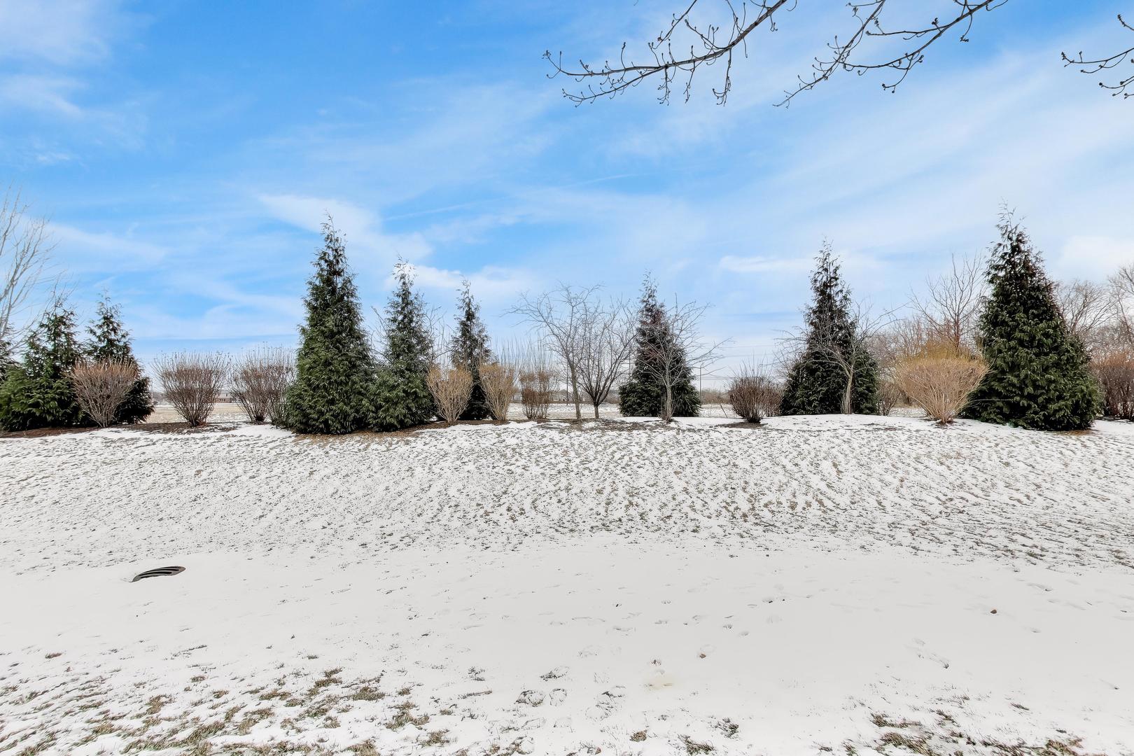 10705 Revere Circle Mokena, IL 60448 - Photo 30 of 34