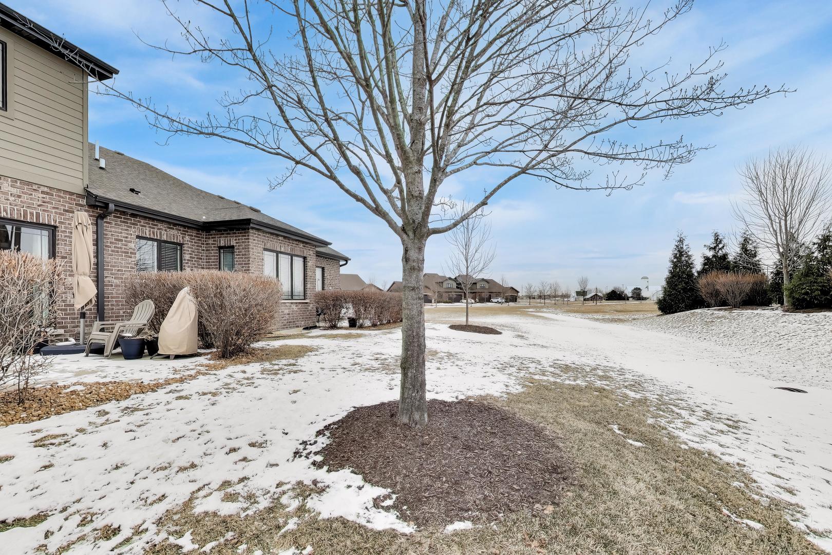 10705 Revere Circle Mokena, IL 60448 - Photo 6 of 12 a street view with snow on the road