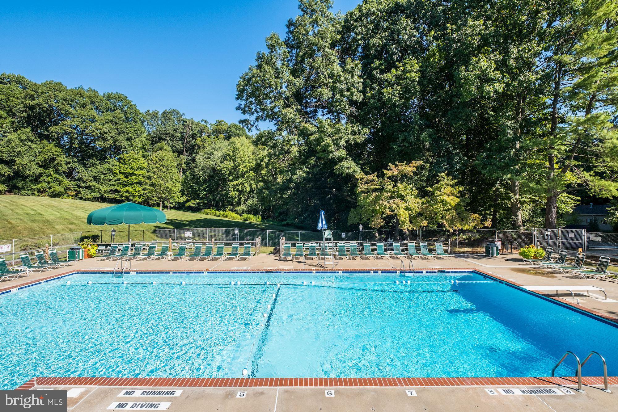5902 Kingsford Road Springfield, VA 22152 - Photo 10 of 19 Prince James Pool