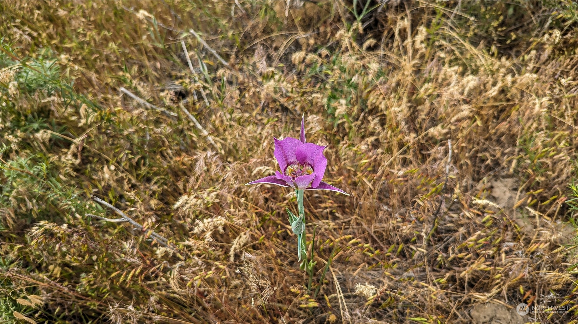 85 Rotts A Rocs Road Riverside, WA 98849 - Photo 31 of 40