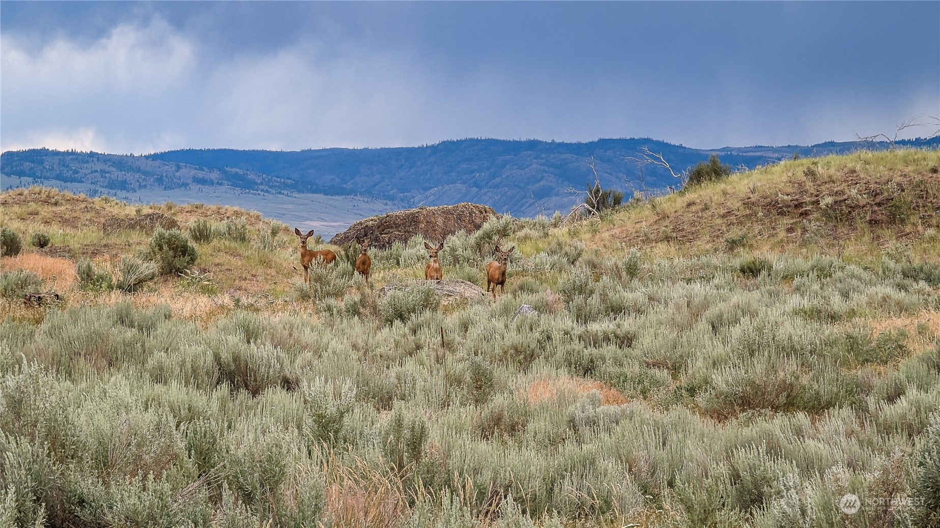 85 Rotts A Rocs Road Riverside, WA 98849 - Photo 39 of 40