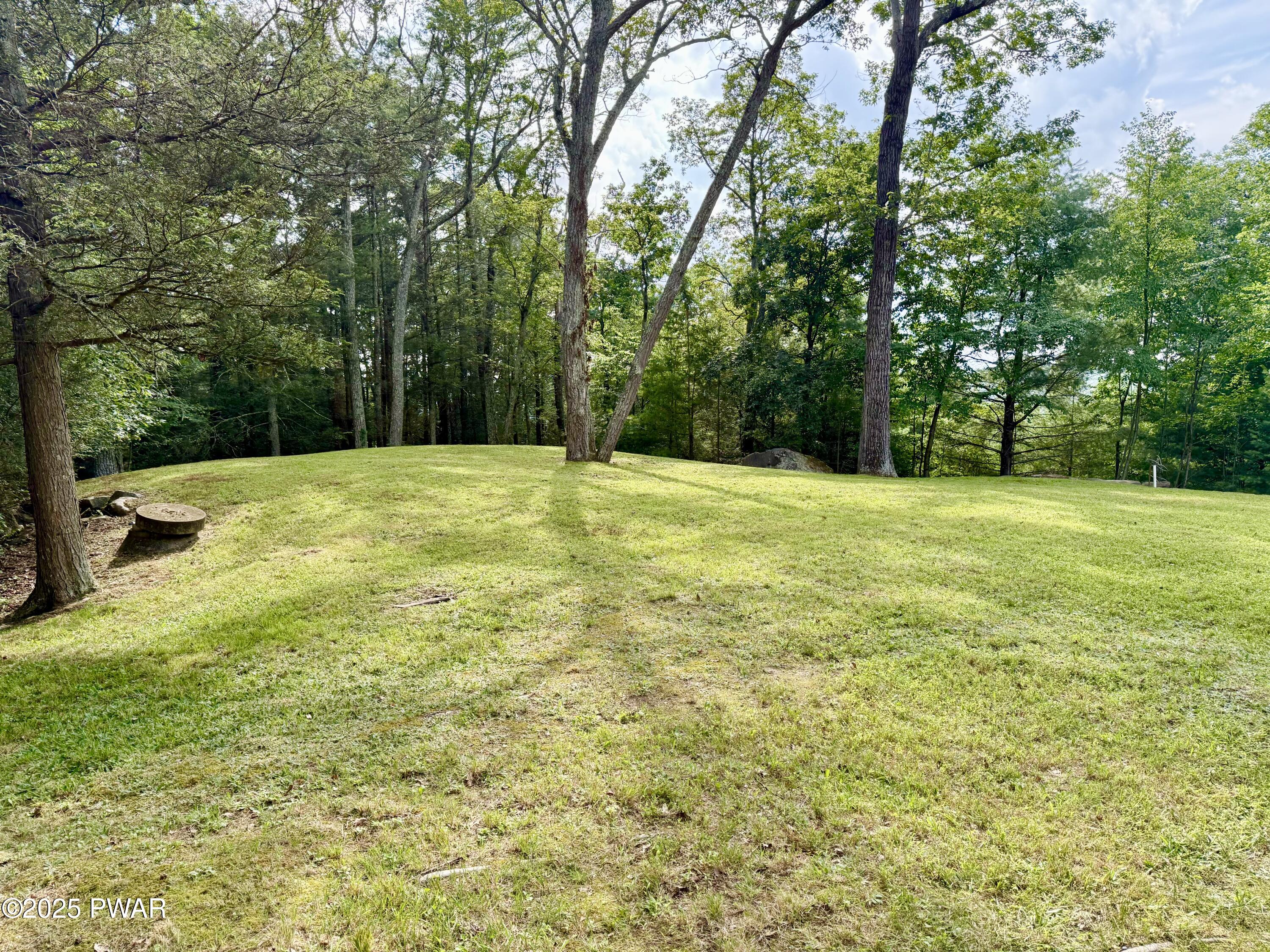 101 Lyle Road Milford, PA 18337 - Photo 63 of 66 Large yard