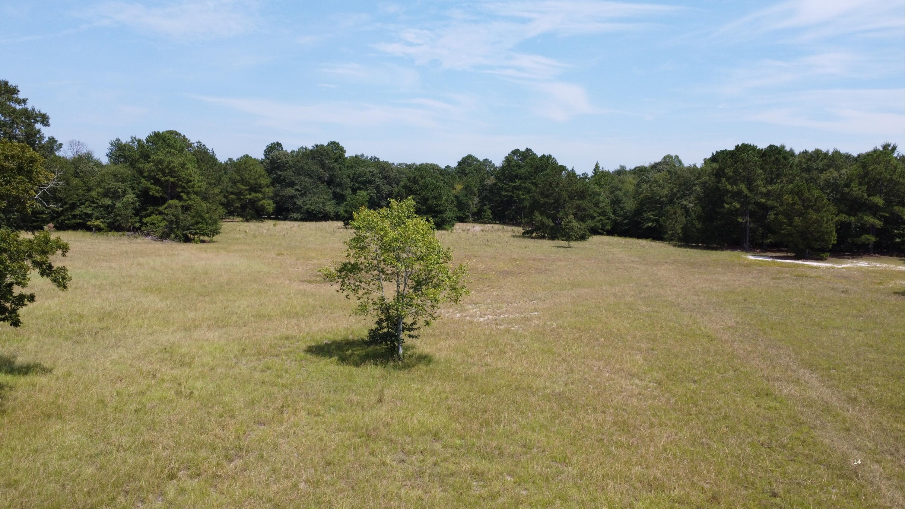 0 Warner Road Salley, SC 29137 - Photo 14 of 19 Gallery Image 14
