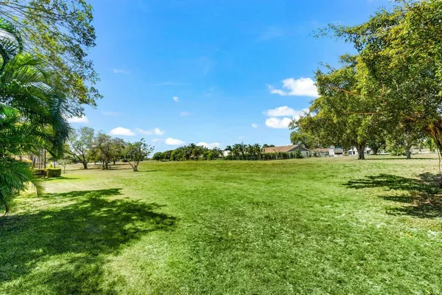 a view of yard with green space