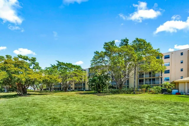 a big yard with large trees