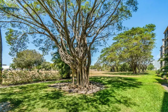 a view of outdoor space with trees all around