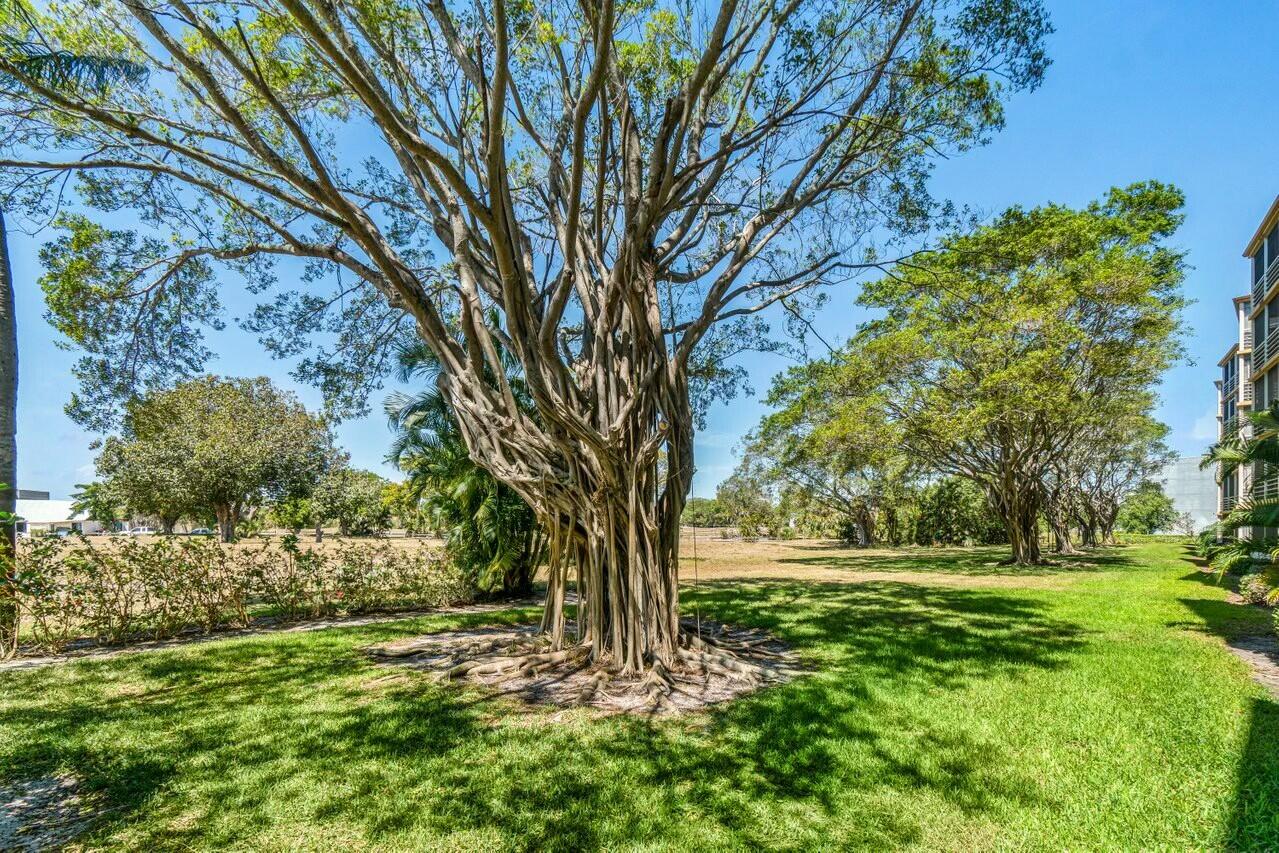 6461 Northwest 2nd Avenue, Unit 411 Boca Raton, FL 33487 - Photo 34 of 34 a view of outdoor space with trees all around