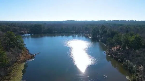 a view of a lake in middle of the forest