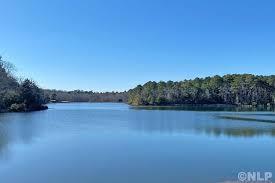 Lot 104 Pr 1313 Centerville, TX 75833 - Photo 4 of 7 a view of lake and mountain