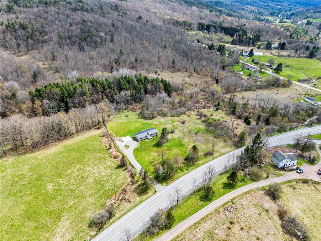12082 State Highway Walton, NY 13856 - Photo 6 of 28 Overhead showing house, rear street and wooded rear property