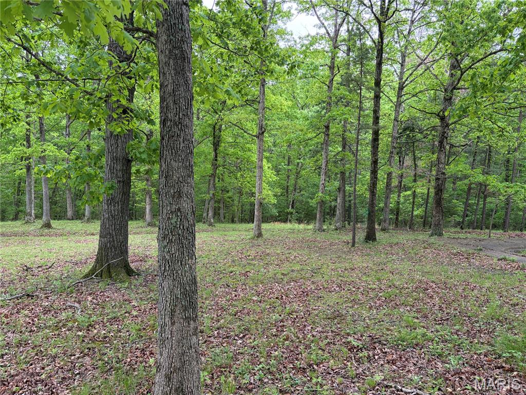 4462 North Virginia Mines Road St. Clair, MO 63077 - Photo 18 of 22