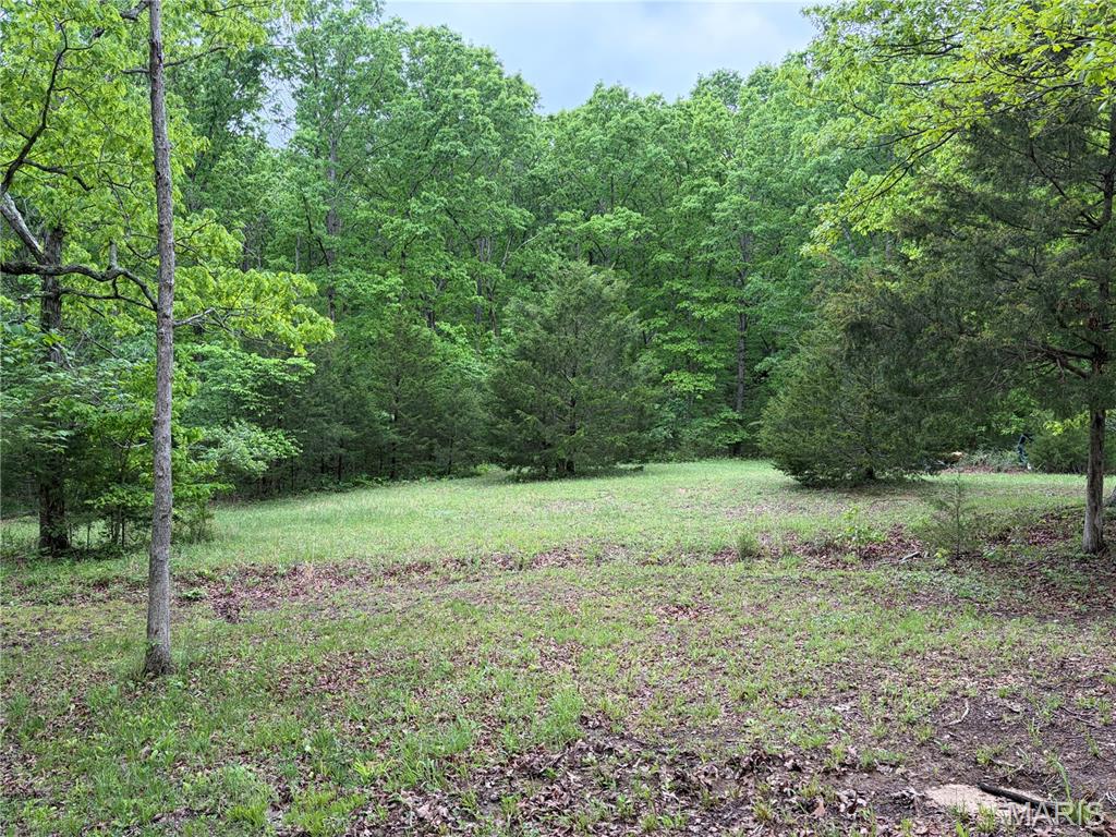 4462 North Virginia Mines Road St. Clair, MO 63077 - Photo 19 of 22
