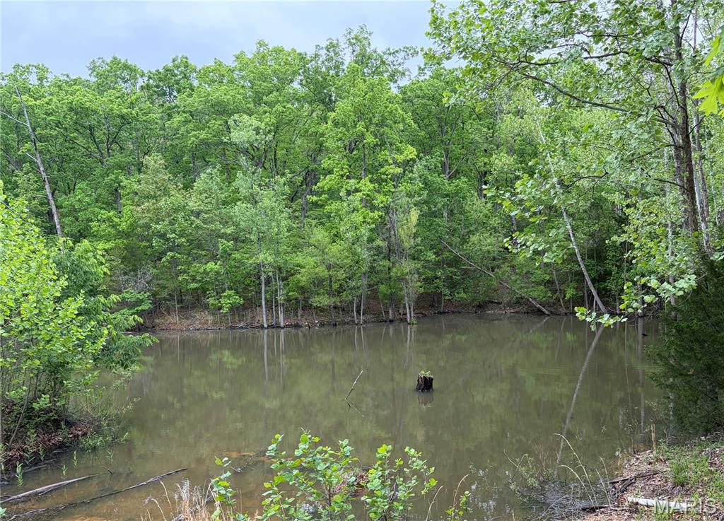 4462 North Virginia Mines Road St. Clair, MO 63077 - Photo 22 of 22