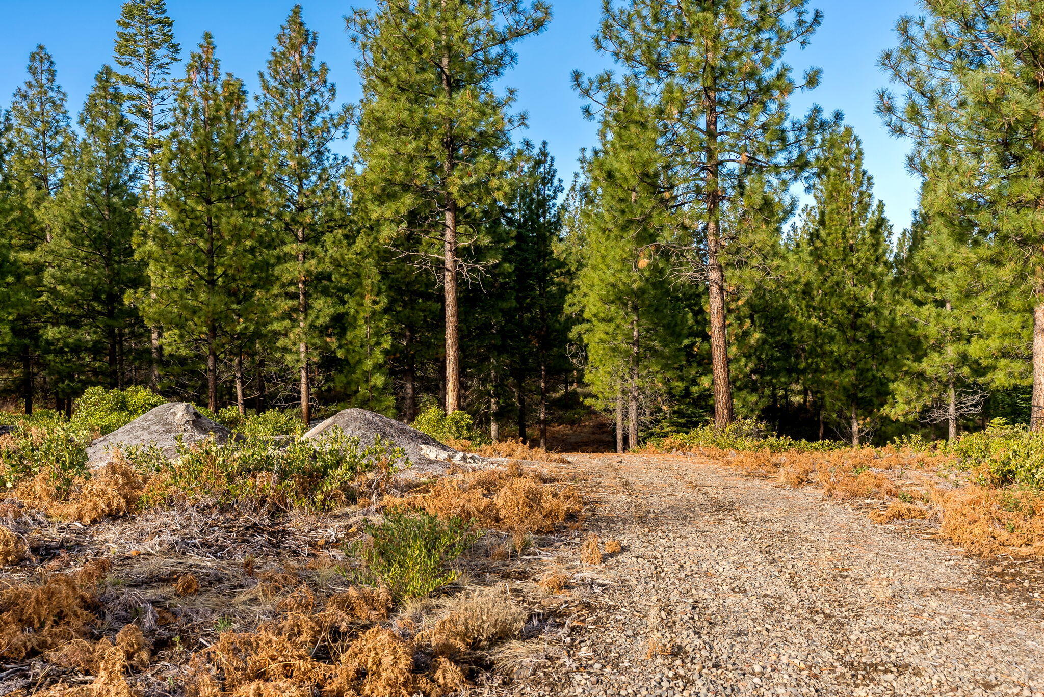70410 McAllister Road, Unit FS ROAD 2060 Sisters, OR 97759 - Photo 27 of 28