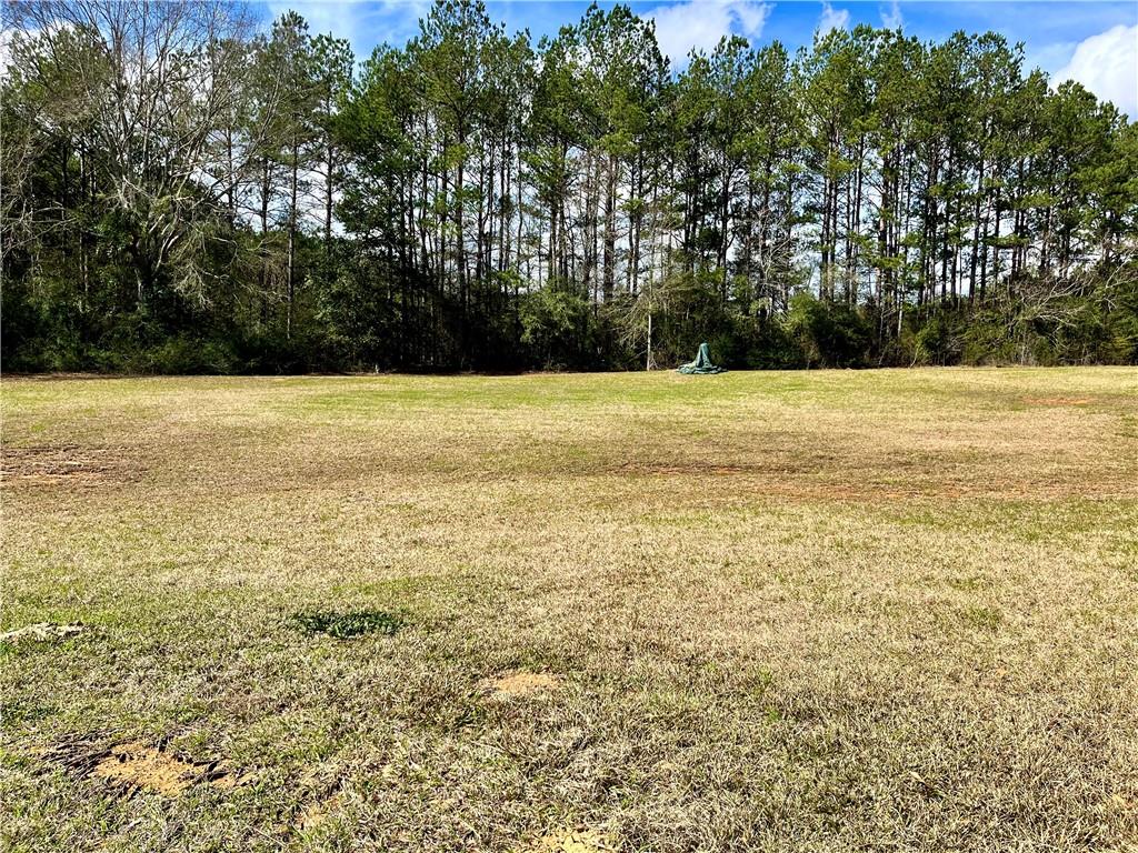 19925 Shepherd Hls Road Franklinton, LA 70438 - Photo 22 of 24 Gallery Image 22