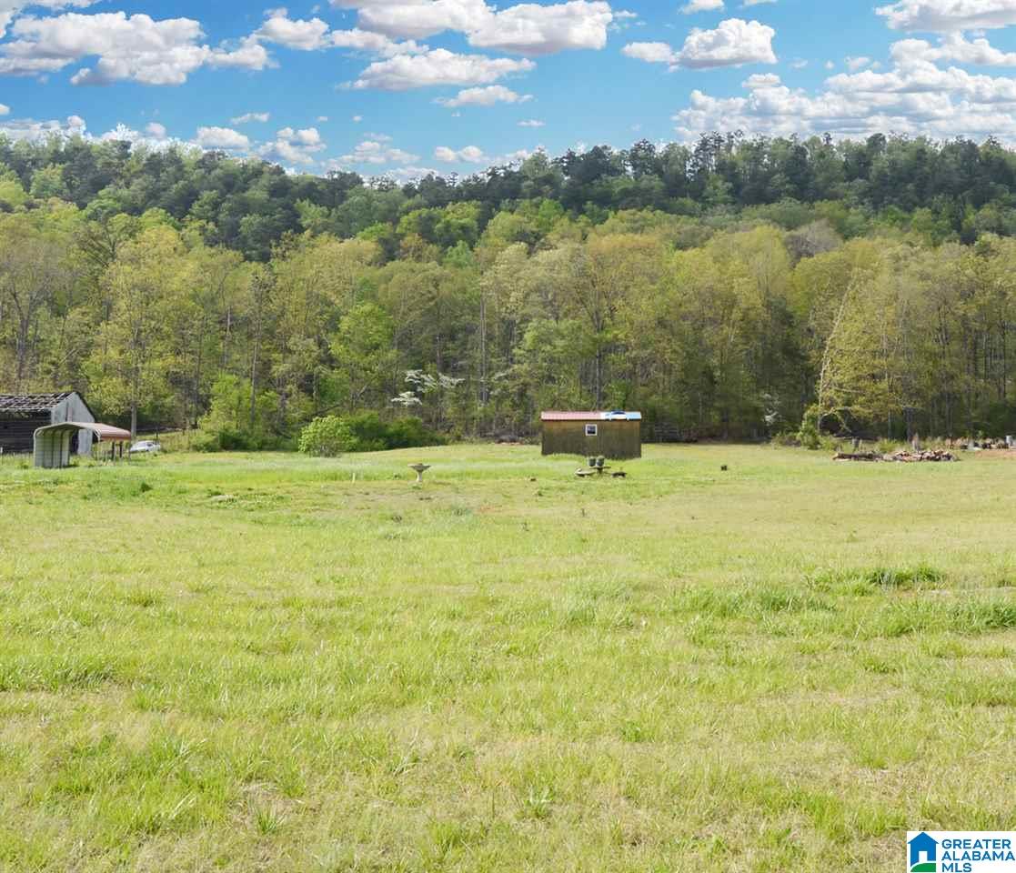 2091 Rabbittown Road, Unit 2 83 Piedmont, AL 36272 - Photo 4 of 17 Gallery Image 4