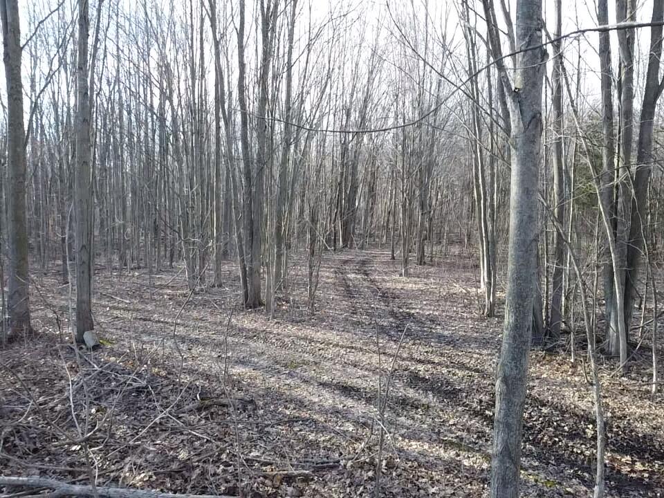 East Dodge Road Clio, MI 48420 - Photo 14 of 39 14