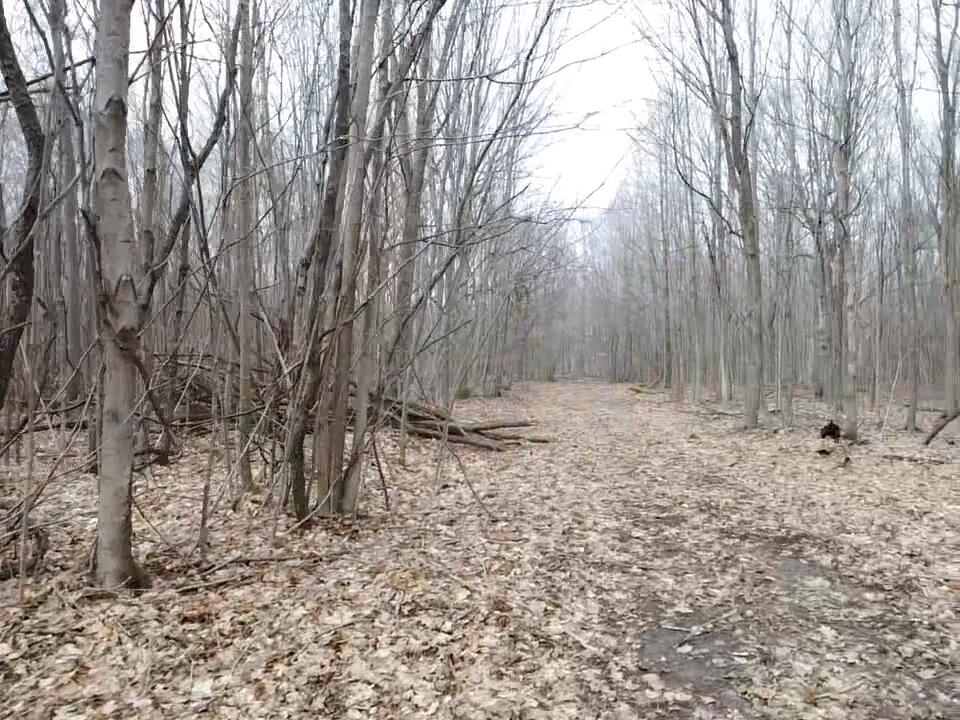 East Dodge Road Clio, MI 48420 - Photo 23 of 39 23