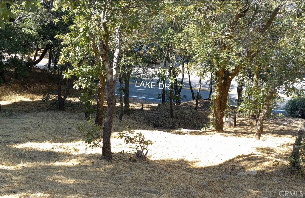 a view of outdoor space yard and covered with trees