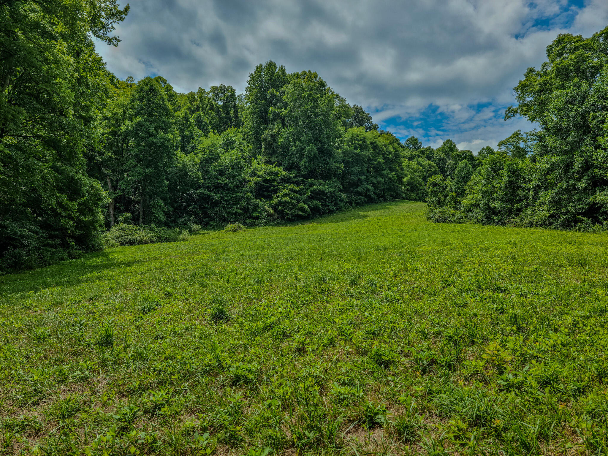 1640 Clear Branch Road Liberty, KY 42539 - Photo 118 of 135 20240706_140107