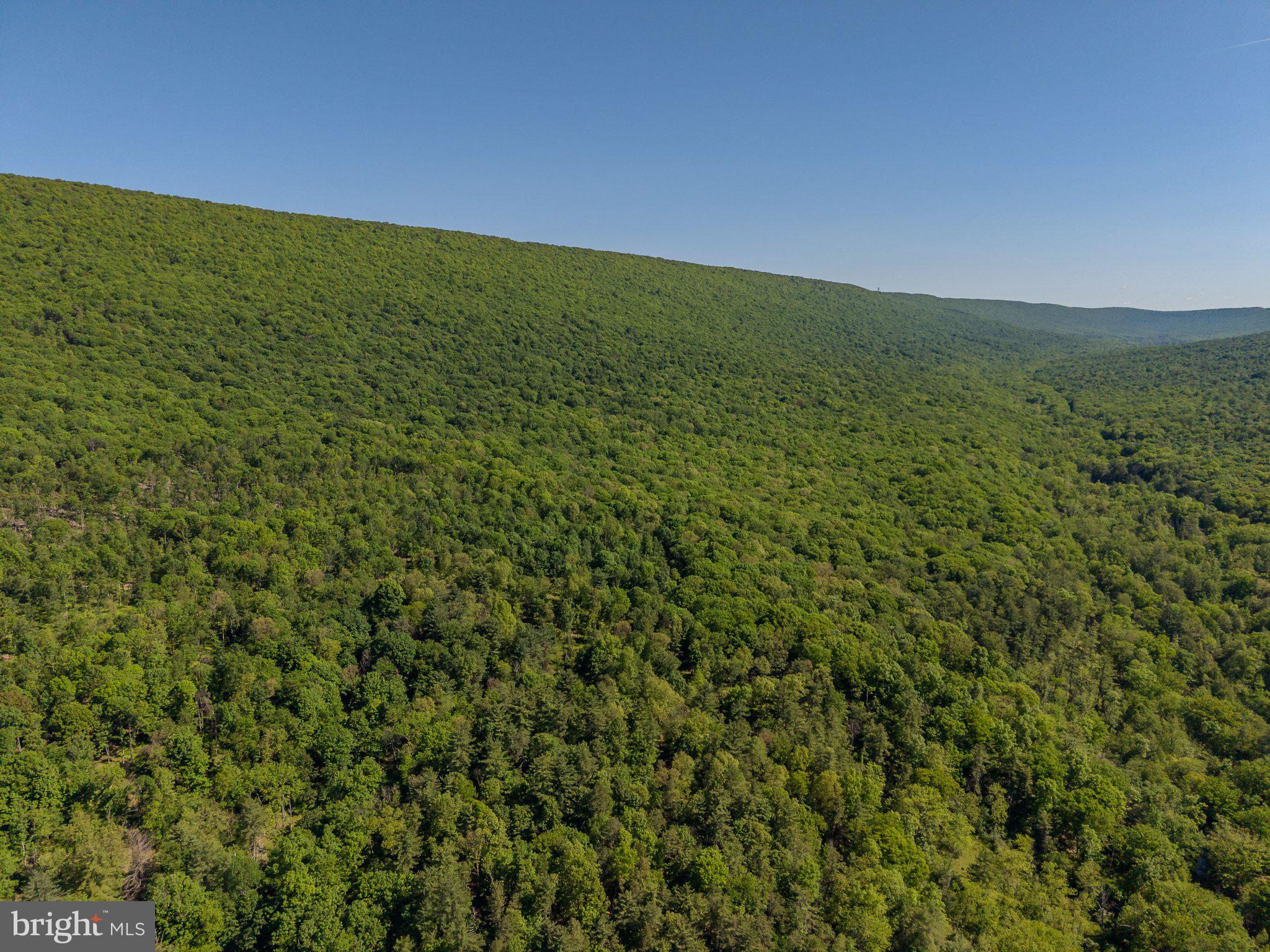 4503 Scotch Valley Road Hollidaysburg, PA 16648 - Photo 15 of 85