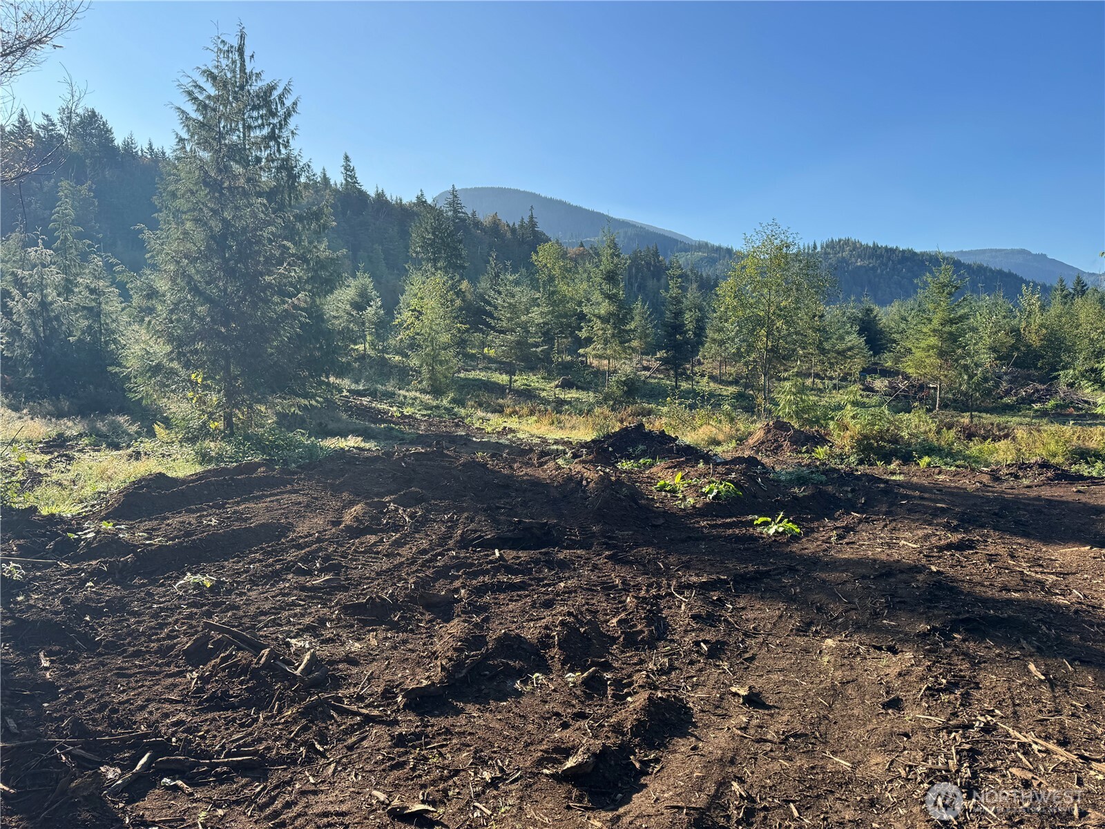0 North Pass Road Everson, WA 98247 - Photo 9 of 23 Gallery Image 9