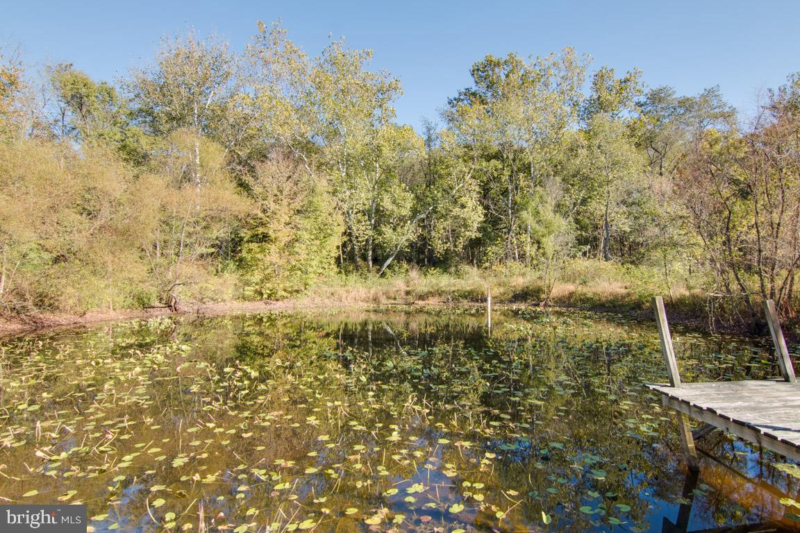 3333 Flickinger Road Westminster, MD 21158 - Photo 36 of 51 Pond fed by Big Pipe Creek