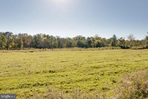 3333 Flickinger Road Westminster, MD 21158 - Photo 38 of 51 Pasture for livestock