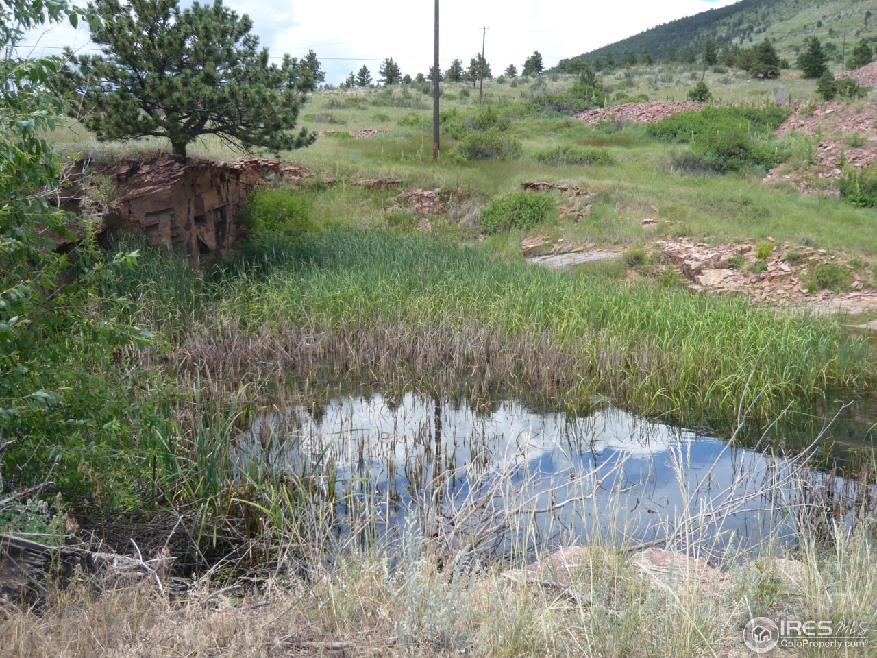 452 Steamboat Valley Road Lyons, CO 80540 - Photo 5 of 25 Small Pond on Property