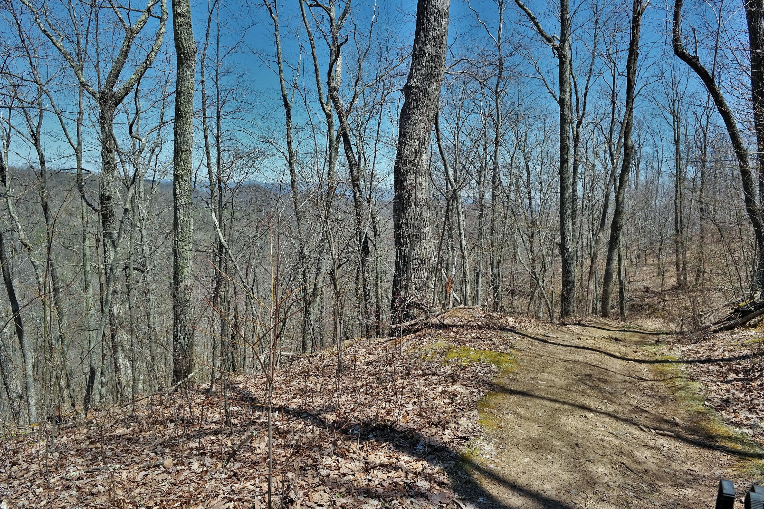 3678 Snake Run Road Alderson, WV 24910 - Photo 57 of 124 Gallery Image 57