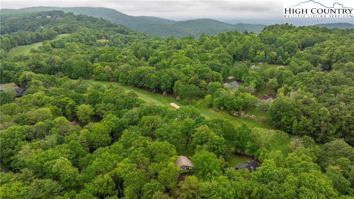 1207 Ridge Road Glade Valley, NC 28627 - Photo 4 of 45 Gallery Image 4