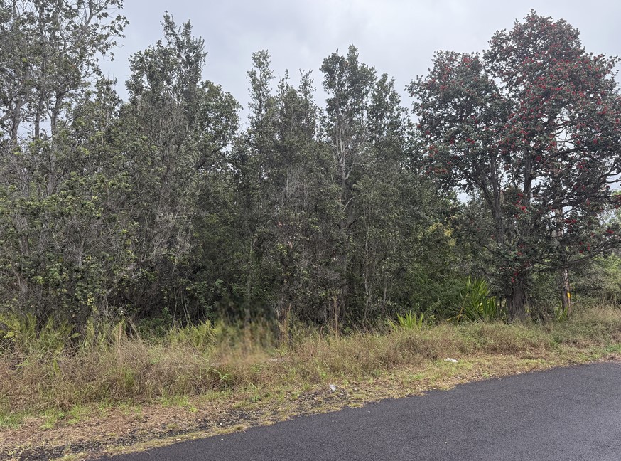 2 Lot Ocean View Ocean View, HI 96704 - Photo 3 of 5 a view of a dirt road with trees in the background
