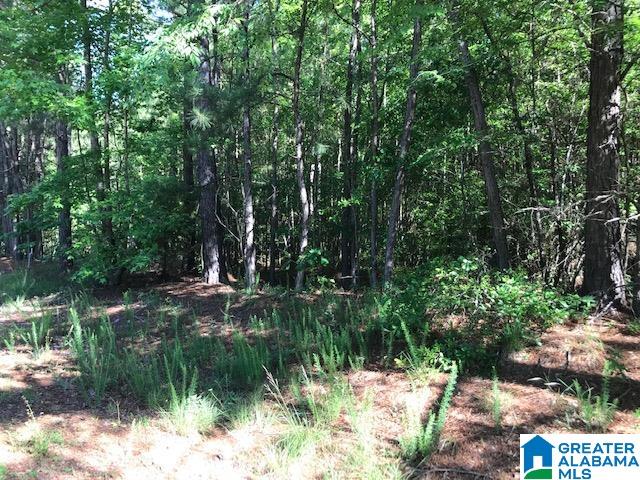 Ivey Way Munford, AL 36268 - Photo 1 of 8 Gallery Image 1