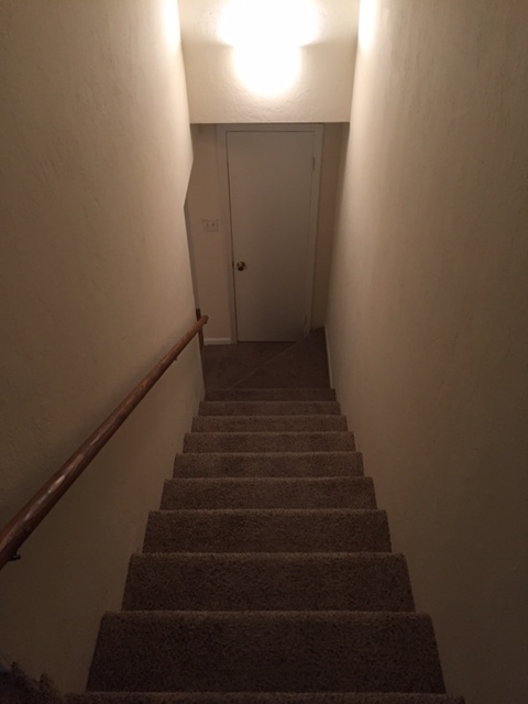 735 East 7th Avenue, Unit D Tallahassee, FL 32303 - Photo 11 of 12