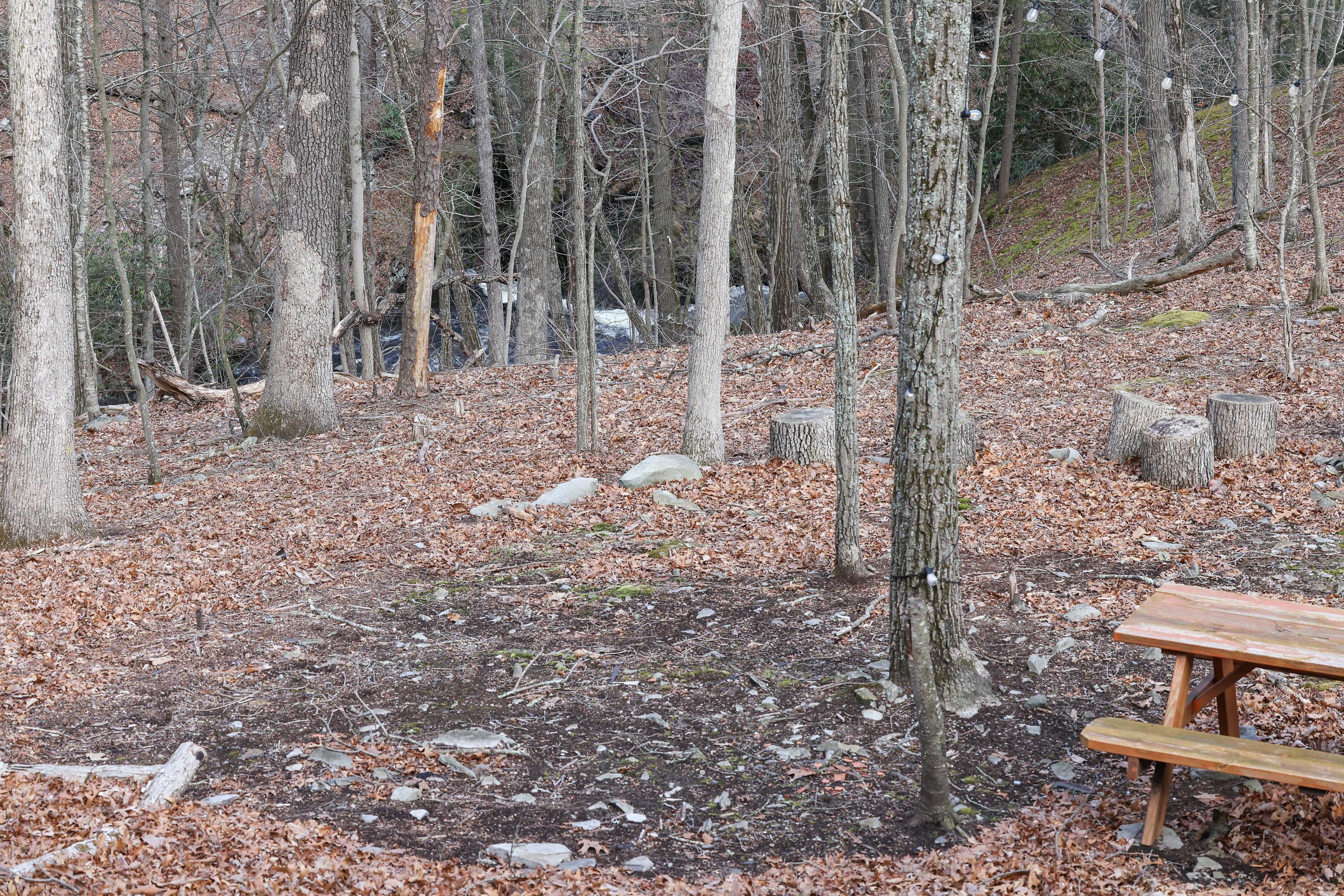 107 Woods Lane Bushkill, PA 18324 - Photo 24 of 34 View from deck v2