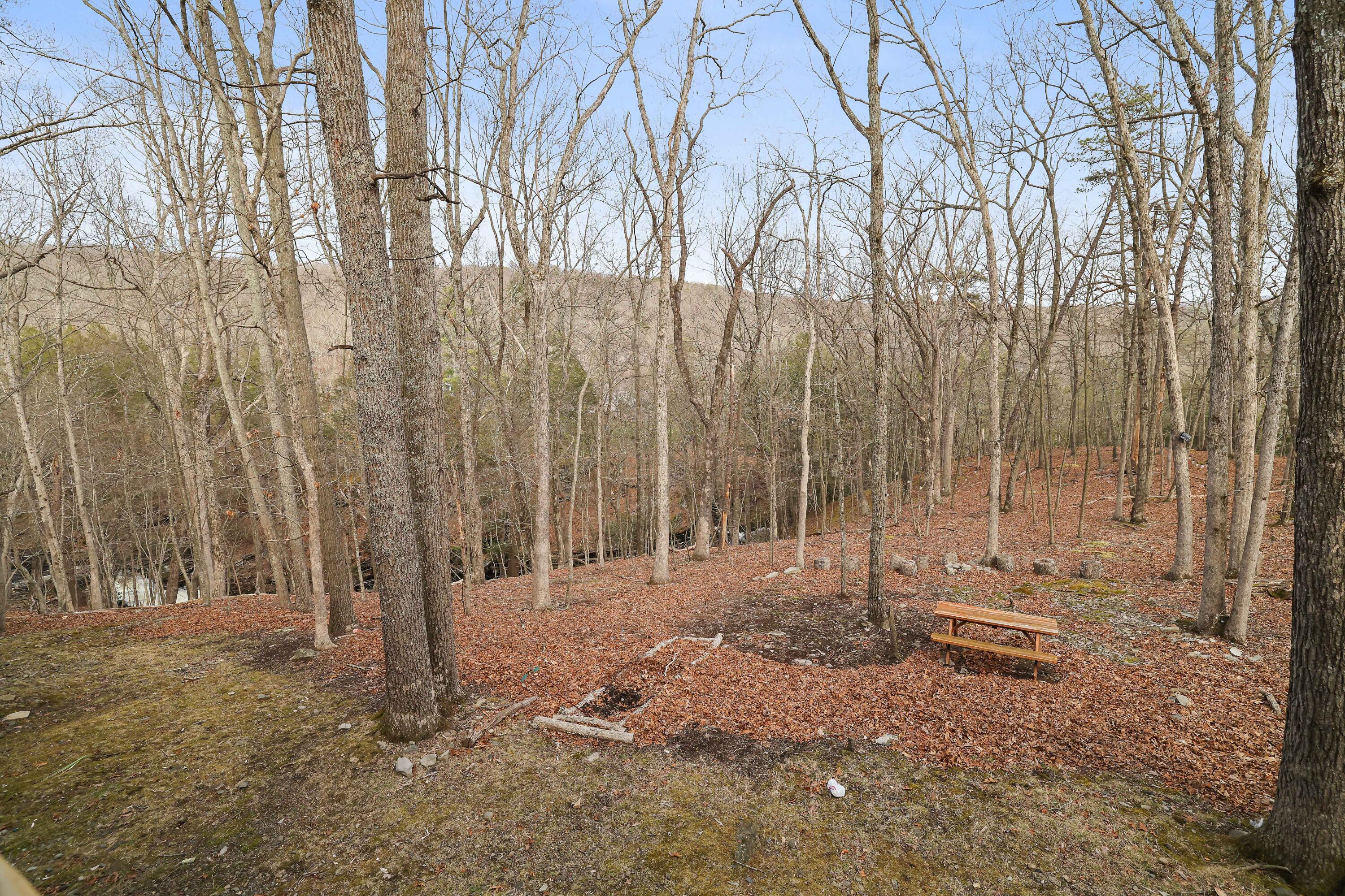 107 Woods Lane Bushkill, PA 18324 - Photo 25 of 34 View from deck v3
