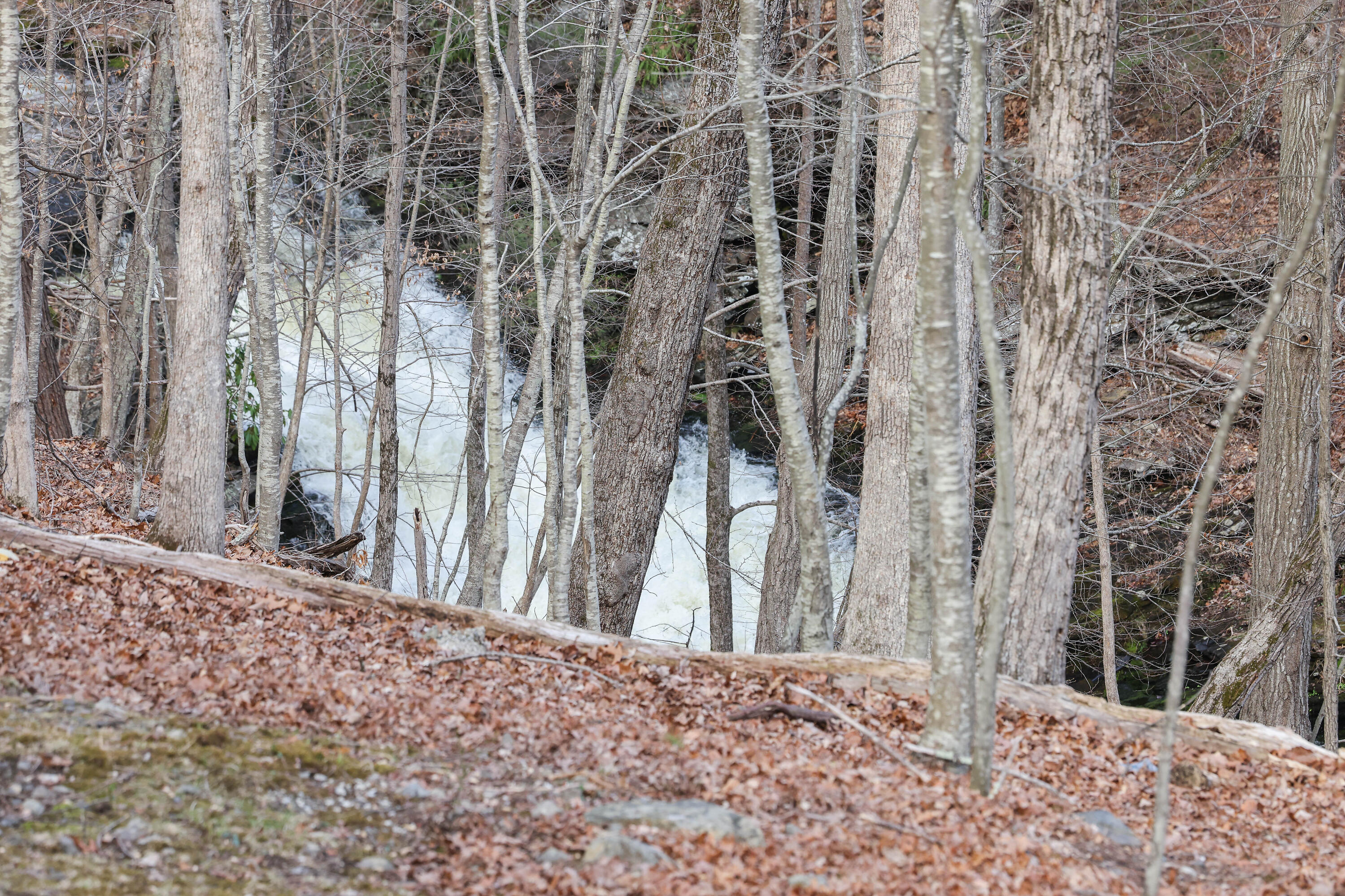 107 Woods Lane Bushkill, PA 18324 - Photo 28 of 34 Waterfall
