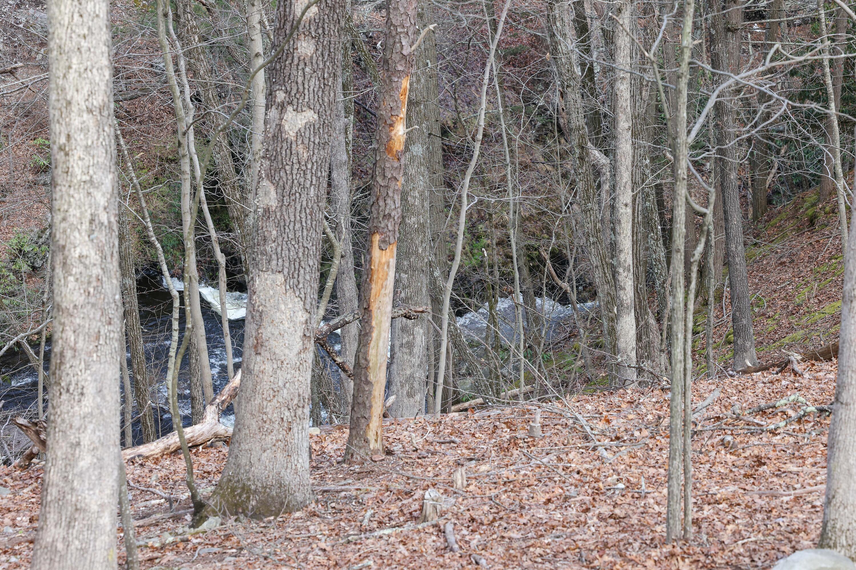 107 Woods Lane Bushkill, PA 18324 - Photo 29 of 34 Waterfall #2