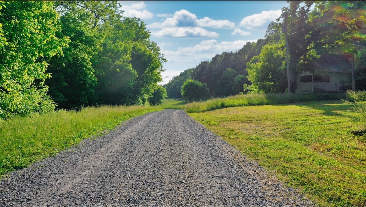 0 Thompson Hollow Road Taft, TN 38488 - Photo 6 of 12 a view of a park with large trees