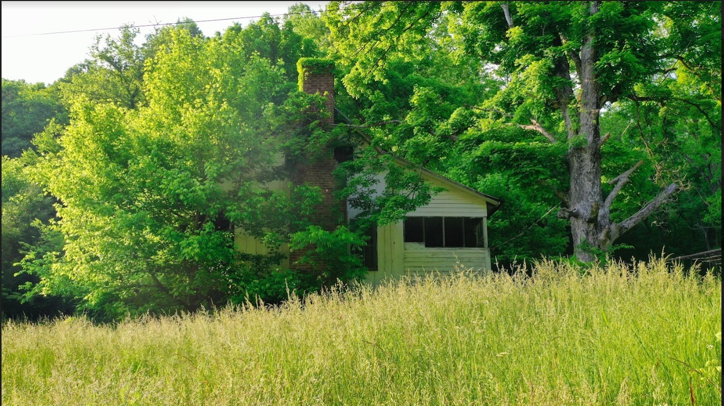 0 Thompson Hollow Road Taft, TN 38488 - Photo 7 of 12 a view of a garden