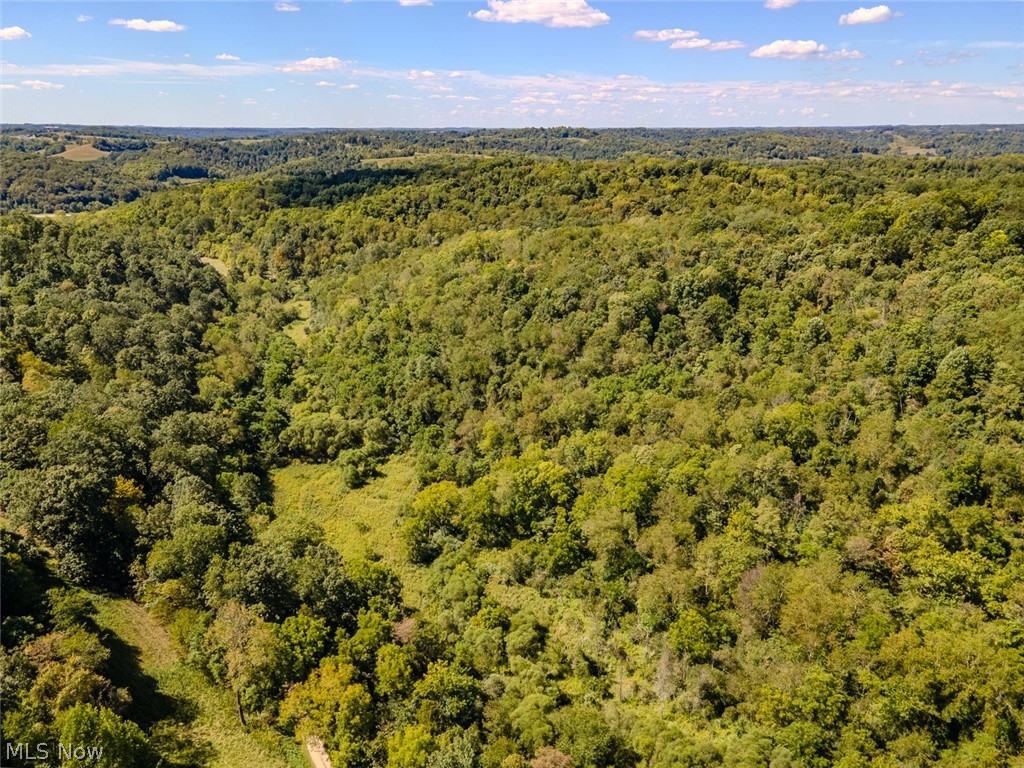 0 Brewer Road Cadiz, OH 43907 - Photo 17 of 37 Aerial view of a heavily wooded area