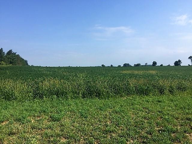 0 Linson Road London, OH 43140 - Photo 2 of 4