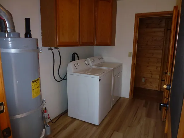 a view of backyard of trees