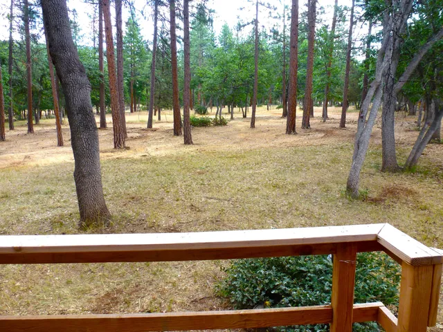 a backyard of a house with lots of trees