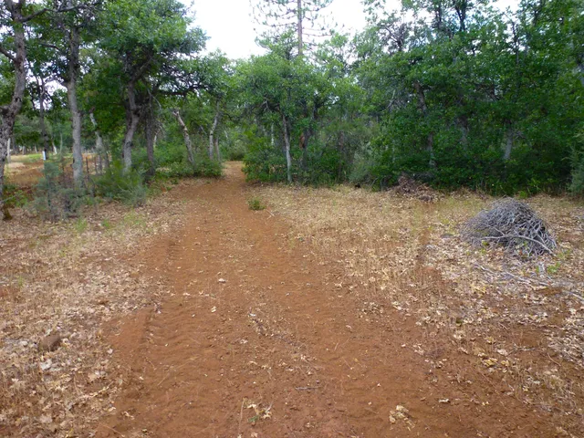 an aerial view of residential house with outdoor space and trees all around