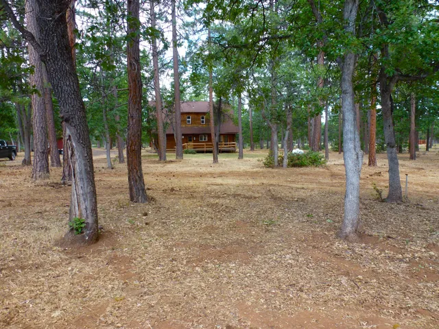 a backyard of a house with lots of trees